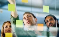 project management english
