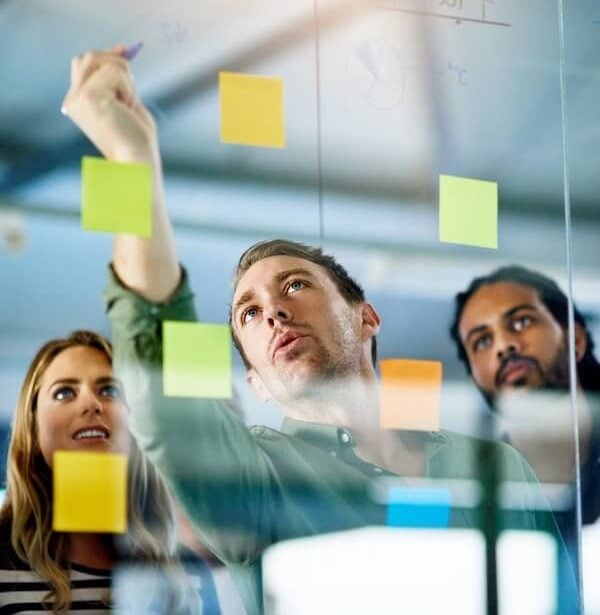 project management english